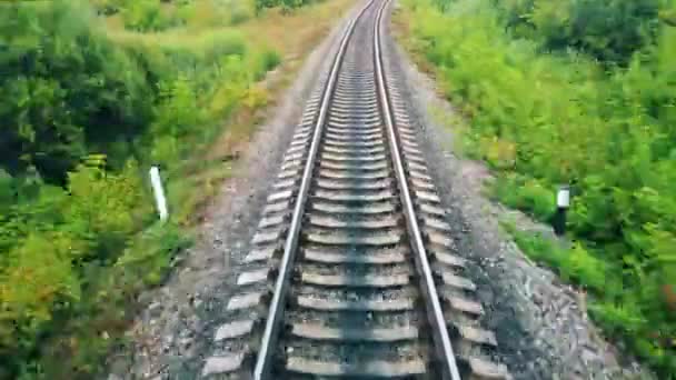 Chemin de fer et arbustes verts vus tout en se déplaçant devant eux — Video