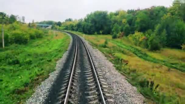 Går längs järnvägen i grönskan — Stockvideo