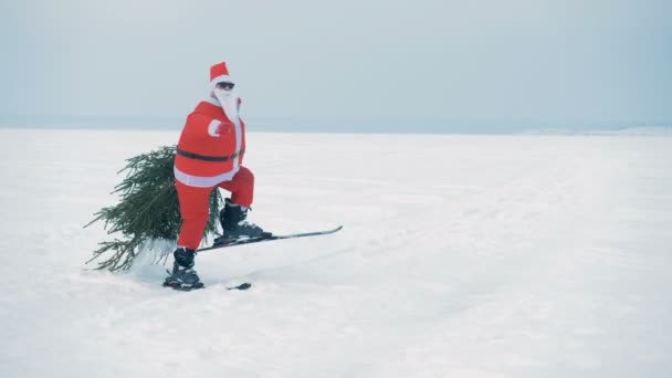 Święty Mikołaj ciągnie jodłę na nartach. — Wideo stockowe