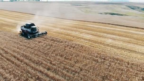 畑の作物は農業輸送によって収穫されている。 — ストック動画