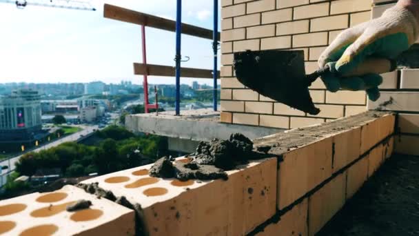 Constructeur pose du ciment sur les briques — Video