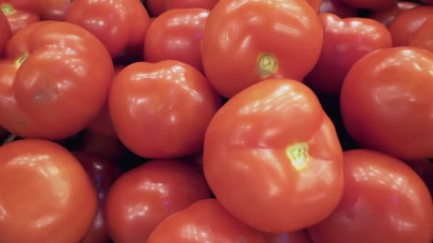 Tomates rouges dans une boîte en serre. — Video