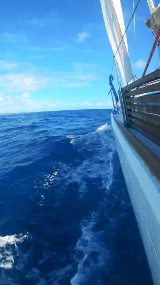 Weiße Jacht segelt im blauen Ozean. — Stockvideo