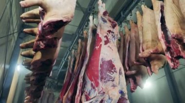Et fabrikasının deposunda muhafaza edilmiş et leşleri.