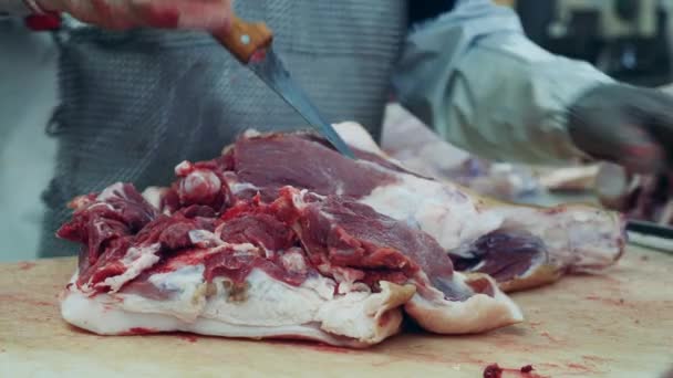 공장 근로자가 칼을 갈고 고기를 자르고 있다 — 비디오