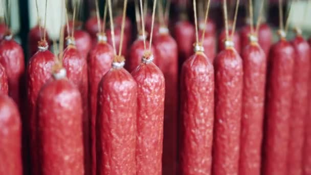 Rå rökt korv konserverad i köttfabriken — Stockvideo