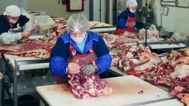 Fábrica de alimentos, planta de procesamiento de carne fresca. Empleados del matadero están cortando trozos de carne cruda — Vídeos de Stock