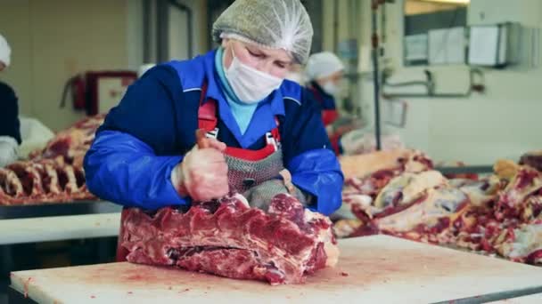 Mujer trabajadora de la planta está cortando grandes pedazos de carne — Vídeos de Stock