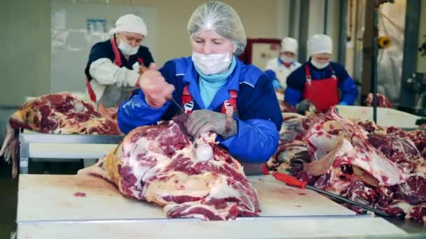 屠宰场的工人正在给生牛肉配料 — 图库视频影像