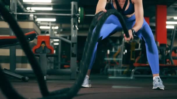 Chica sostiene cuerdas durante el entrenamiento en el gimnasio . — Vídeos de Stock