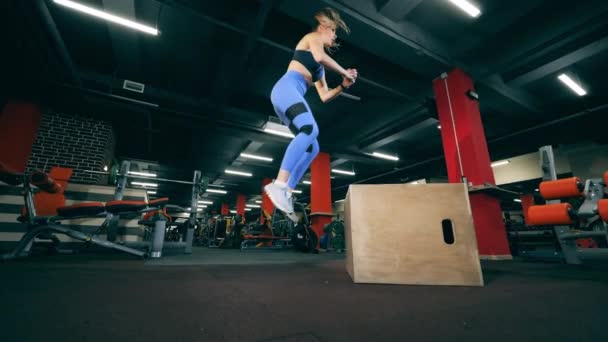 Una mujer hace entrenamiento crossfit, saltando en una caja . — Vídeos de Stock