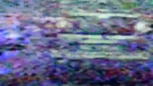 Image sur un écran se transmet avec des pépins — Video