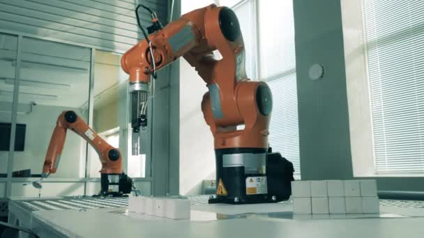 Innovative Robotermechanismen arbeiten mit Objekten — Stockvideo