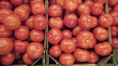 Kutularda saklanmış olgun domatesler..