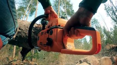 Orman işçisi elektrikli testereyle kereste kesiyor.