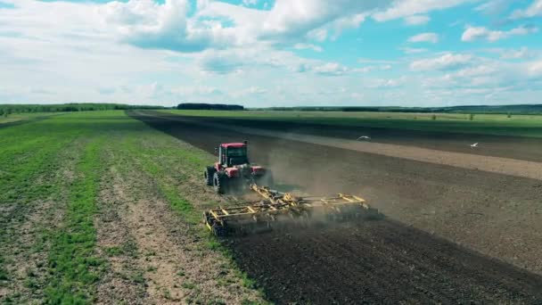 Sadzenie w rolnictwie prowadzone przez kombajn rolniczy — Wideo stockowe