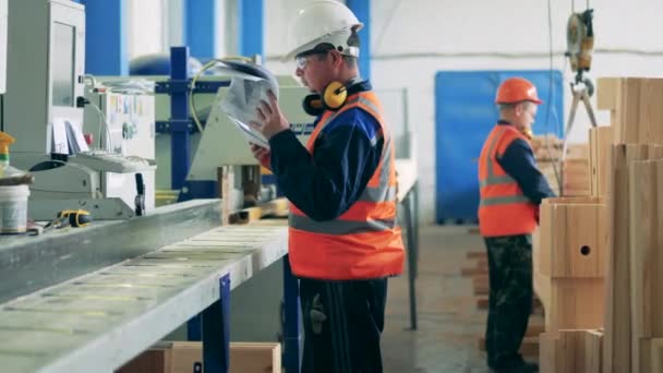 Des techniciens masculins travaillent dans une usine de travail du bois — Video