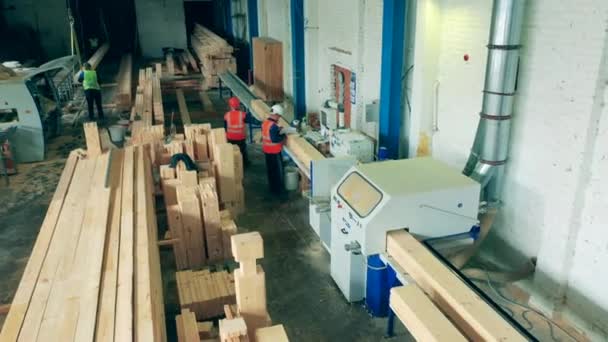 Locaux d'une usine de travail du bois avec des employés et du bois — Video