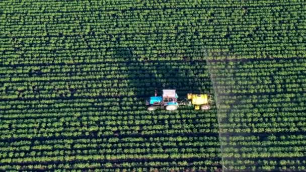 Widok górny pól procesu nawożenia przeprowadzanego przez ciągnik. Chemikalia stosowane w ciągnikach rolniczych. — Wideo stockowe