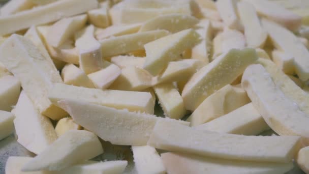 Frozen french fries on a pan. — Stock Video