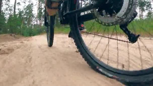 Rotating bicycle wheels while riding along the trail — Stock Video