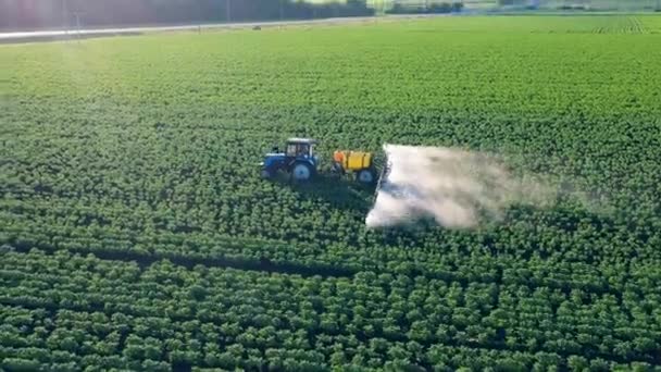 Campo masivo está siendo fertilizado por un vehículo agrícola — Vídeo de stock