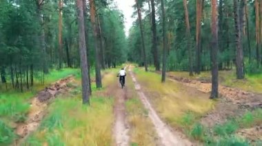 Bisikletli bir çam ormanının içinden geçiyor