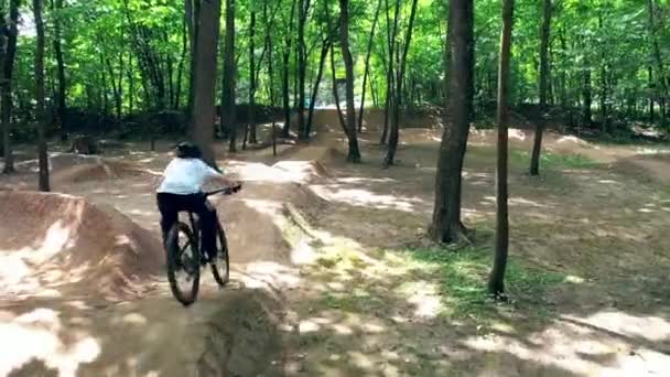 Ciclista está andando pela floresta com obstáculos — Vídeo de Stock