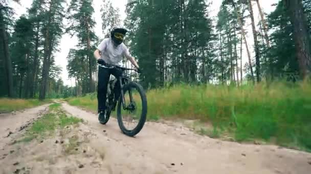森の道とそれに沿って自転車に乗るライダーサイクリング — ストック動画