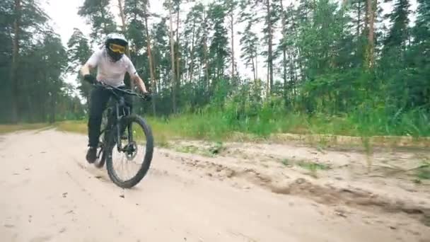 Radfahrer fährt mit dem Fahrrad durch den Kiefernwald — Stockvideo