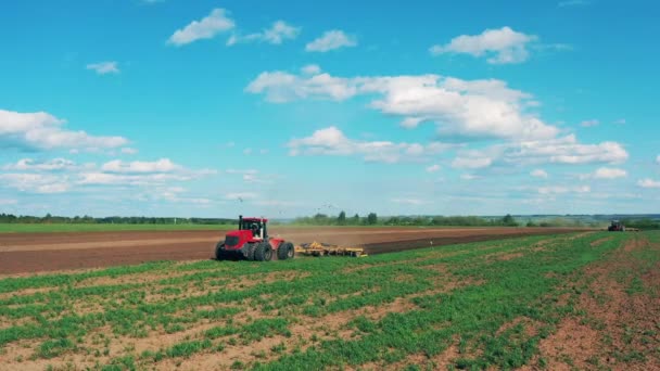 Trator vermelho prepara solo para semeadura . — Vídeo de Stock