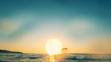 Bir adam gün batımında rüzgar sörfü tahtasıyla yelken açıyor.