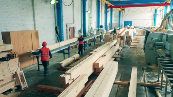 Ingenieros trabajan con madera en una fábrica, apilando madera. — Vídeos de Stock