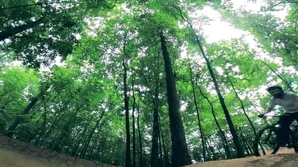 Un homme traverse un sentier forestier au ralenti. — Video