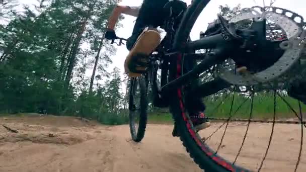 Pohled zezadu na muže na kole na bmx v lese — Stock video