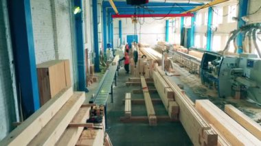 Ahşap işleme fabrikası, ahşap balyalar ve mühendisler.