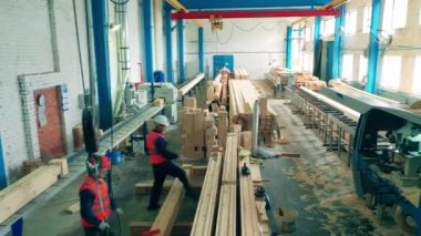 Teknisyenler bir marangoz fabrikasında çalışıyorlar.