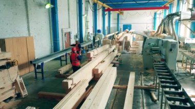 Mühendisler marangoz fabrikasına odun taşıyorlar.