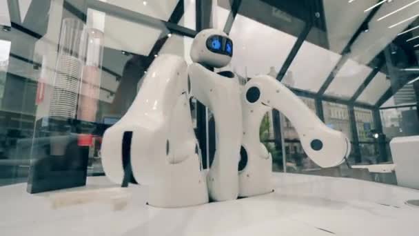 Robotic servitör på jobbet i ett kafé — Stockvideo