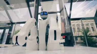 Robot garson bir kafede fincanlara dokunuyor.