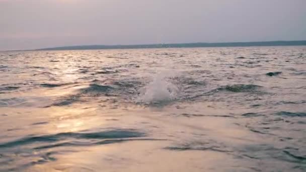 Atleta profesional está nadando mariposa en el océano — Vídeos de Stock