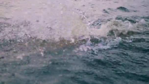 Male athlete is crossing sea waves while swimming — Stock Video