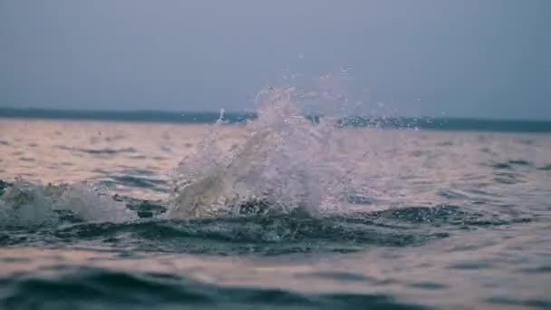 Un hombre está usando un golpe de mariposa mientras nada en el mar — Vídeos de Stock