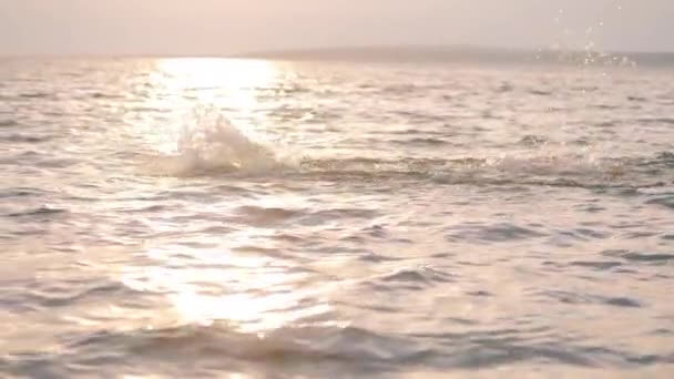 Мужчина-спортсмен плавает под заходящим солнцем — стоковое видео