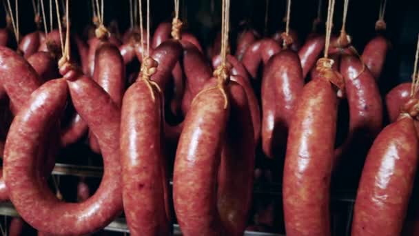 Veel worstjes bereiden zich voor op een rek in de vleesverpakkingsfabriek.. — Stockvideo