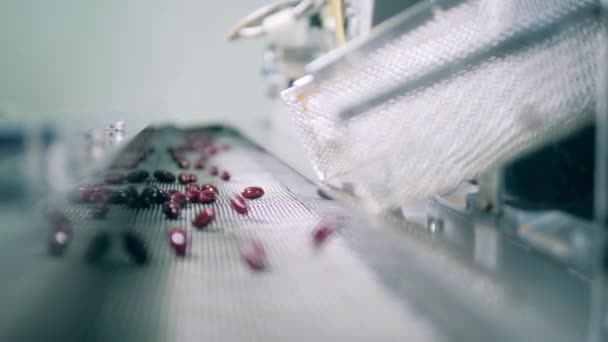 Производство лекарственных средств на фармацевтическом заводе. Конвейерная лента со свежеприготовленными таблетками, движущимися вдоль нее — стоковое видео