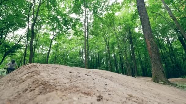 Lo sportivo in bicicletta sta saltando su una rampa nella foresta — Video Stock