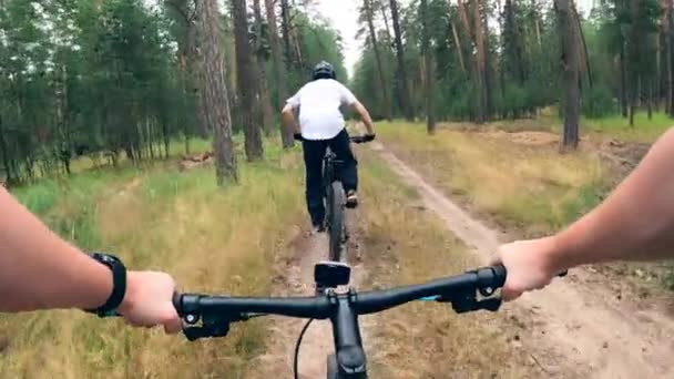 Två ryttare cyklar längs skogsstigen — Stockvideo