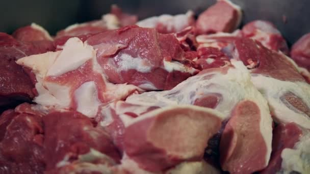 Sliced pork at meat cutting factory. — Stock Video