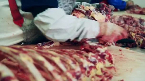 Один мясник режет мясо во время работы на мясокомбинате. — стоковое видео